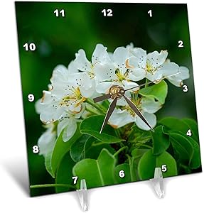 3dRose A Cluster of White crabapple Flowers, Green Leaves and Background - Desk Clocks (dc_341828_1)