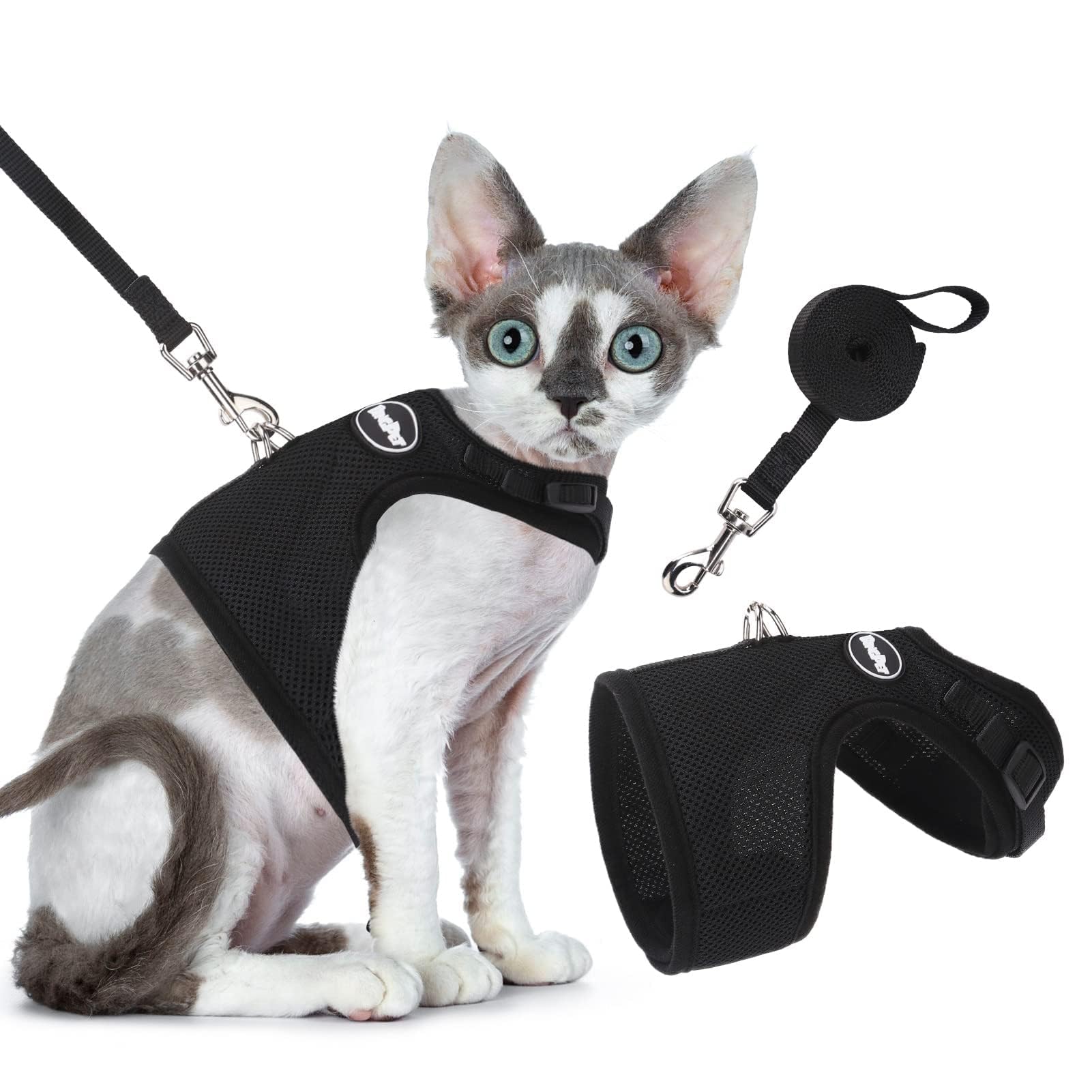 BINGPET Escape Proof Cat Harness and Lead Set, Escape-Proof Cat Kitten Harness with Leash Set for Walking - Adjustable Soft Mesh Holster Style - Best for Kitten Walking Outdoor Walking
