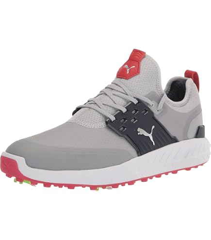 Amazon.com: PUMA Golf Men's Ignite Pwradapt Caged Golf Shoe, Gray