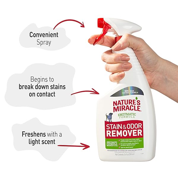 NATURE’S MIRACLE DOG STAIN AND ODOR REMOVER, EVERYDAY MESS ENZYMATIC FORMULA, 24 FL OZ