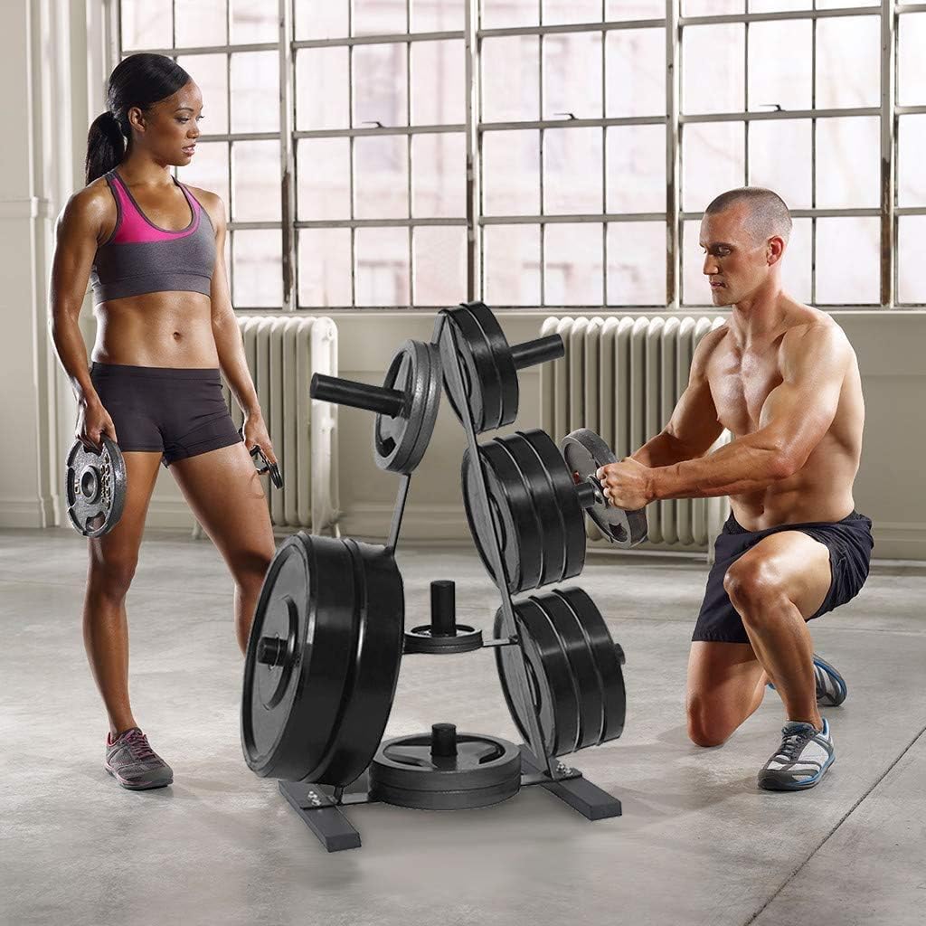 Olympic Weight Plate Rack, A Frame Weight Plate Tree 2 inch for Bumper Plates Free Weight Stand Metal Steel Home Workout Dumbbell Rack Storage Stand : Sports & Outdoors