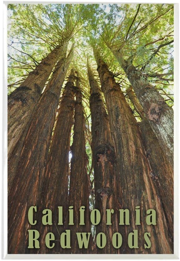 Best Redwood Refrigerator Magnets