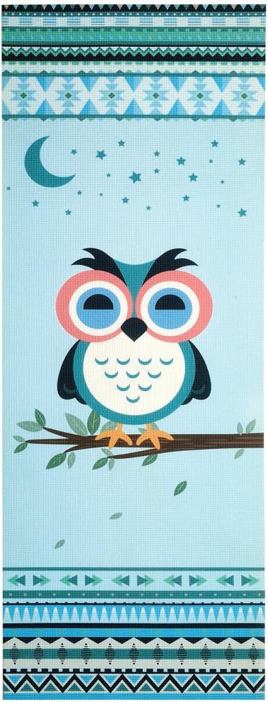 Chastep Yoga Mat Exercise & Fitness Mat ¼ Inch, Non-Tear Extra Thick Pilates Mat with Carrying Bag