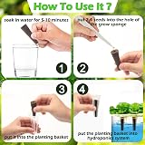 Windspeed 150P Grow Sponges Hydroponics Seed Pod Kit 50 Sponges 24 Baskets 24 view 5