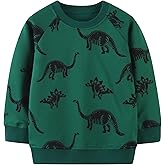 DZbeb Toddler Boys Crewneck Sweatshirt 100% Cotton Soft Casual Pullover 2T-7T