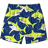 uideazone Boys Swim Trunks 3D Funny Print Surfing Board Shorts Quick Dry UPF 50+ Swimsuit Beachwear with Mesh Lining 2-12T
