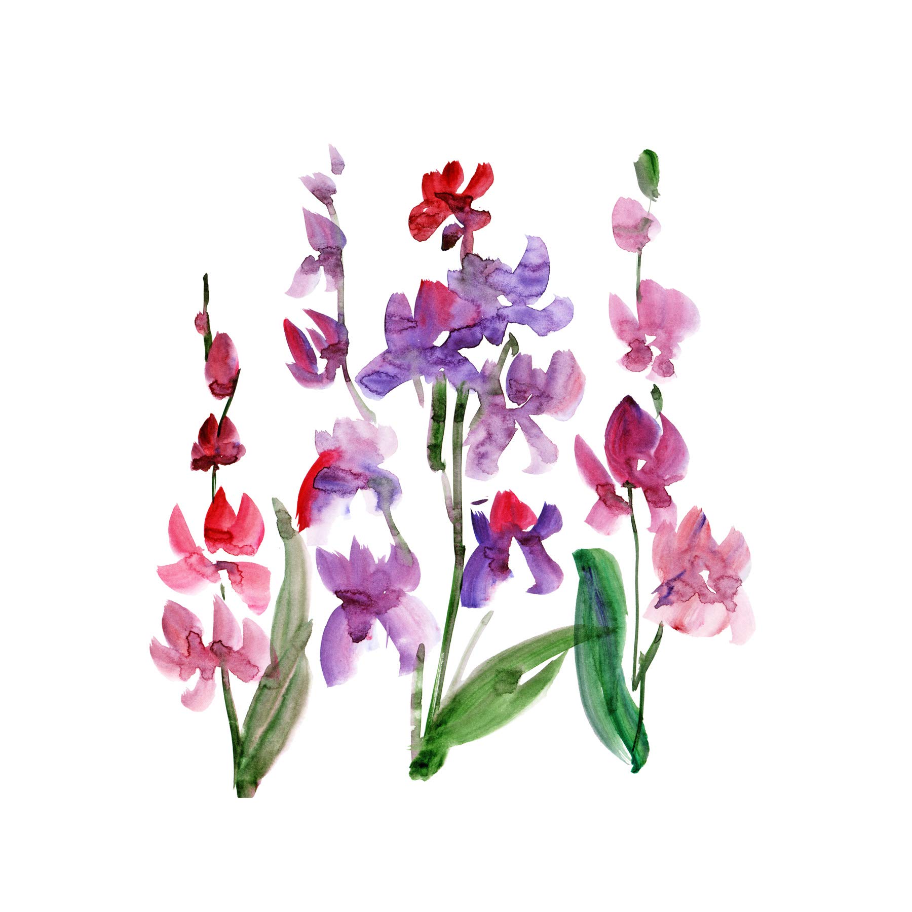 Wee Blue Coo Flower Orchid Watercolour Large Wall Art Print Canvas Premium Poster