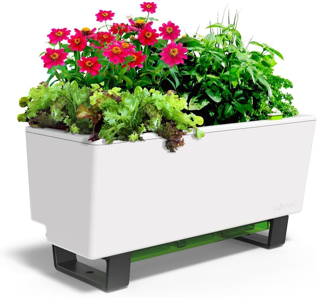 Glowpear Self-Watering Mini Bench Planter : Garden & Outdoor
