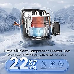 BODEGACOOLER 12v Car Refrigerator, 63QT(60L) IPX4