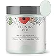 Country Chic All-in-One Chalk Paint for Furniture, Cabinets, Home Decor, Eco-Friendly, Matte Finish, Built-In Primer & Top Coat for Wood, Metal - String of Pearls (Light Green) - 4 oz (118 ml)