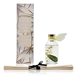 LOVSPA Japanese Honeysuckle Reed Diffuser Set | A