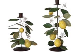 Creative Co-Op Citrus Grove Metal Taper Candle Holders, Multicolor, Set of 2