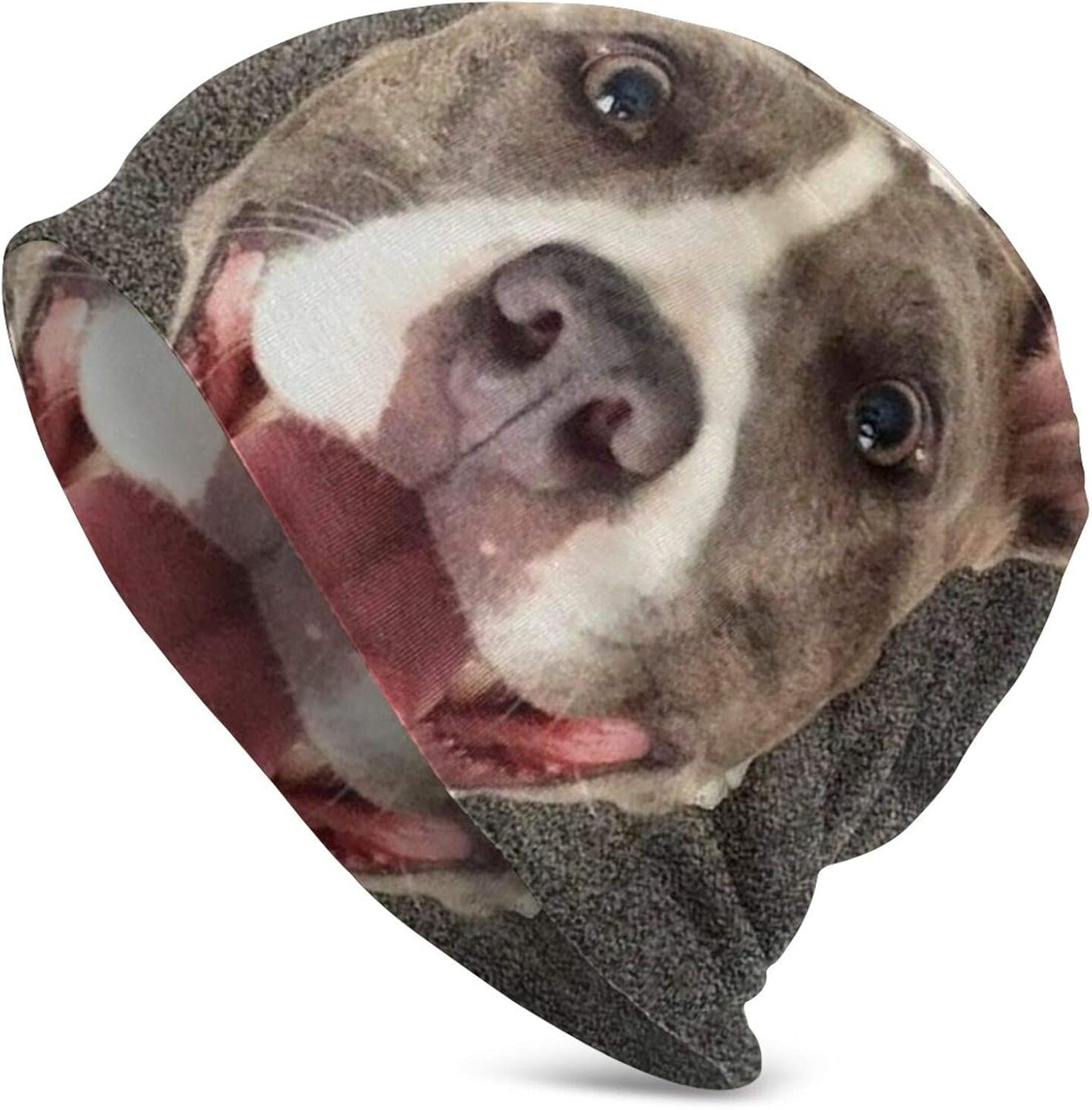 Cute Suger Pitbull Dog Adult Mens and Women Knit Hat Winter Fashion