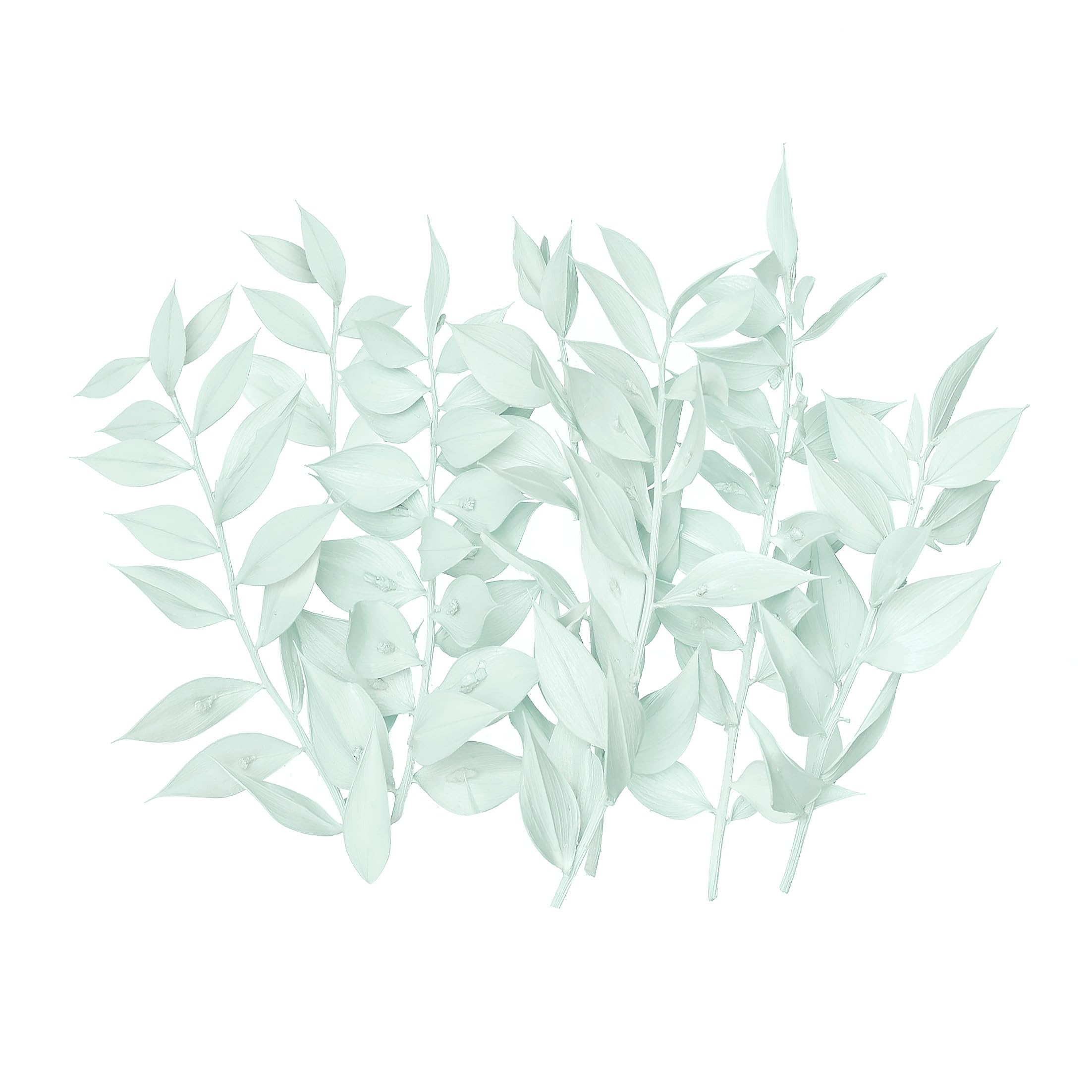 The Baked Studio - Original Dried Flower Ruscus Set For Cake & Cupcake Decorating & Others Crafts (Light Green)