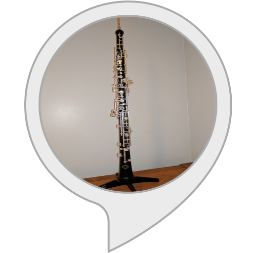Top 10 Oboes of 2020 No Place Called Home