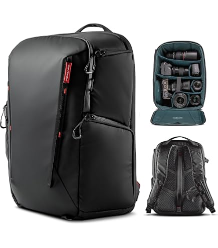Amazon.com : PGYTECH OneGo Lite Camera Backpack 22L Lightweight