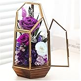 Valentines Day Flowers Gifts for Her,Forever Real Preserved Roses in Glass Dome,Valentines Roses Gifts for Wife Women Best Friend Girlfriend/Purple Rose