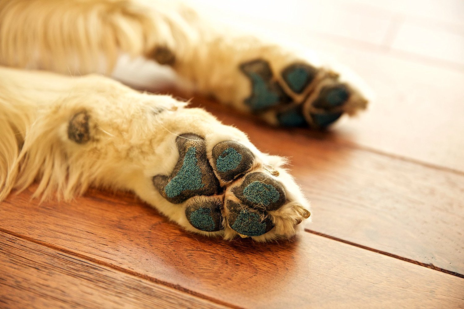 PawFriction - Paw Pad Traction - Increase Your Dog's Quality Of Life