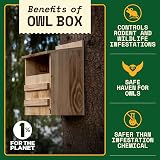 WildYard Cedar Owl Box Nest Box with Camera Slot Easy Hang Clean Access view 2