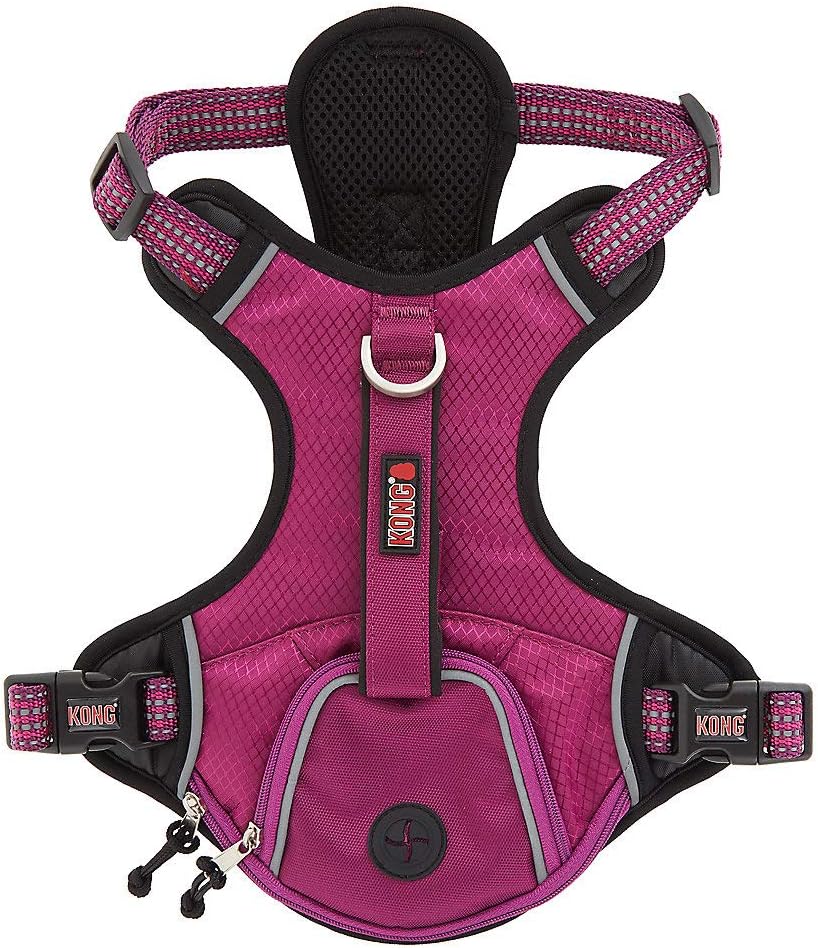 kong harness amazon