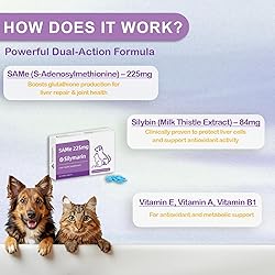 NUTRIARISE Same for Dogs – Advanced Liver Support
