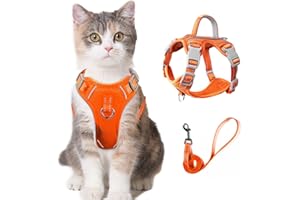 BARKBAY Cat Harness and Leash Set for Walking Escape Proof for Small Large cat Kitten Harness with ID tag Pocket (Orange,XS)