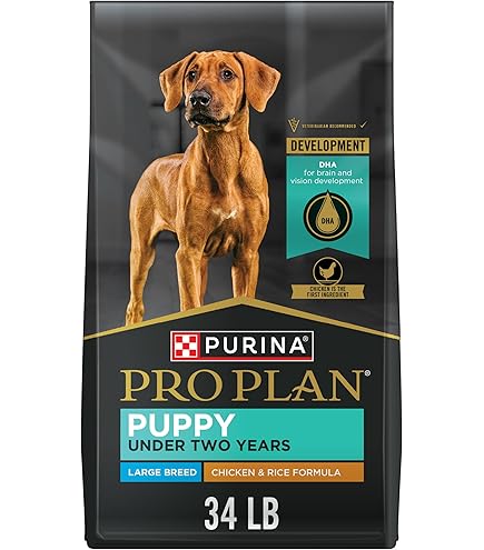 thumbnail image 2 of Purina Pro Plan Focus Large Breed Adult Dry Dog Food - 34 Lb Bag With Real Chicken 2 of 13