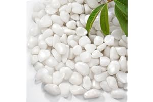 RUOJAS 2.2 lb Natural Polished White Pebbles, 1/2 Inch Decorative White Rocks for Potted Plants Pot Filling Aquariums Outdoor Street Scape Decorative Rocks
