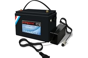 DEESPAEK LiFePO4 Lithium Battery 24V 60Ah, Rechargeable Deep Cycle Lithium Iron Phosphate Batteries with Upgraded BMS, Perfect for Marine, Boat, Solar Power, RV, Off Grid Applications