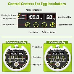 Quail Egg Incubator for Hatching 40 Quail Eggs with