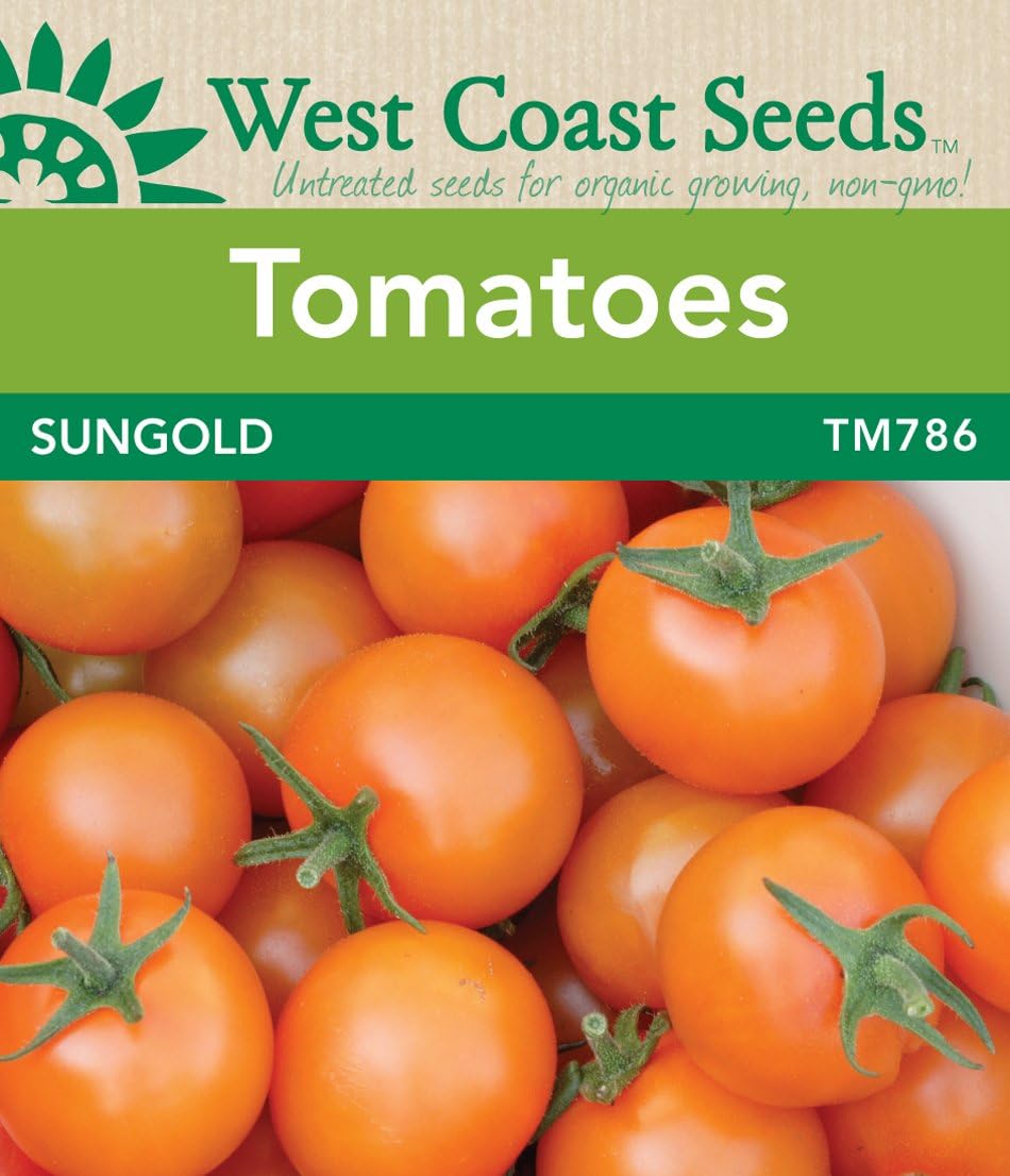 Tomato Seeds Sungold F1 Amazon.ca Patio, Lawn & Garden