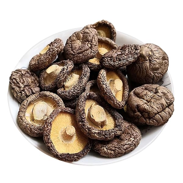 ORGANIC NATURAL DRIED MUSHROOMS – PREMIUM FLAVORS |GRADE EXTRA DRY MUSHROOMS FOR SOUPS, SAUCES, PASTA AND RISOTTO, REHYDRATE QUICKLY, ALL NATURAL & VEGAN | 8 OZ