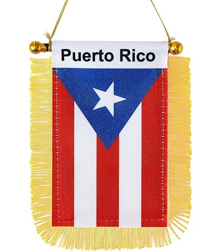 Coqui Puerto Rico MINI BANNER FLAG FOR CAR & HOME WINDOW MIRROR HANGING