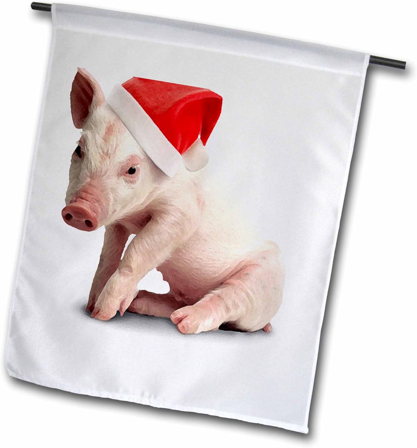 Best Lg Garden Flags