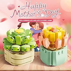 Feelo STEM Succulents Plants Building Set Mini