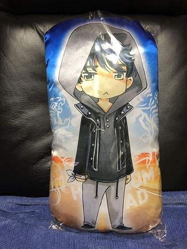 Amazon ノボル 町田啓太 クッション High Low ハイアンドロー G Sword Exile エグザイル アイドル 芸能人グッズ 通販