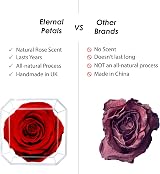 Eternal Petals Real Rose Lasts Years White Gold Solo with Clear Crystal view 6