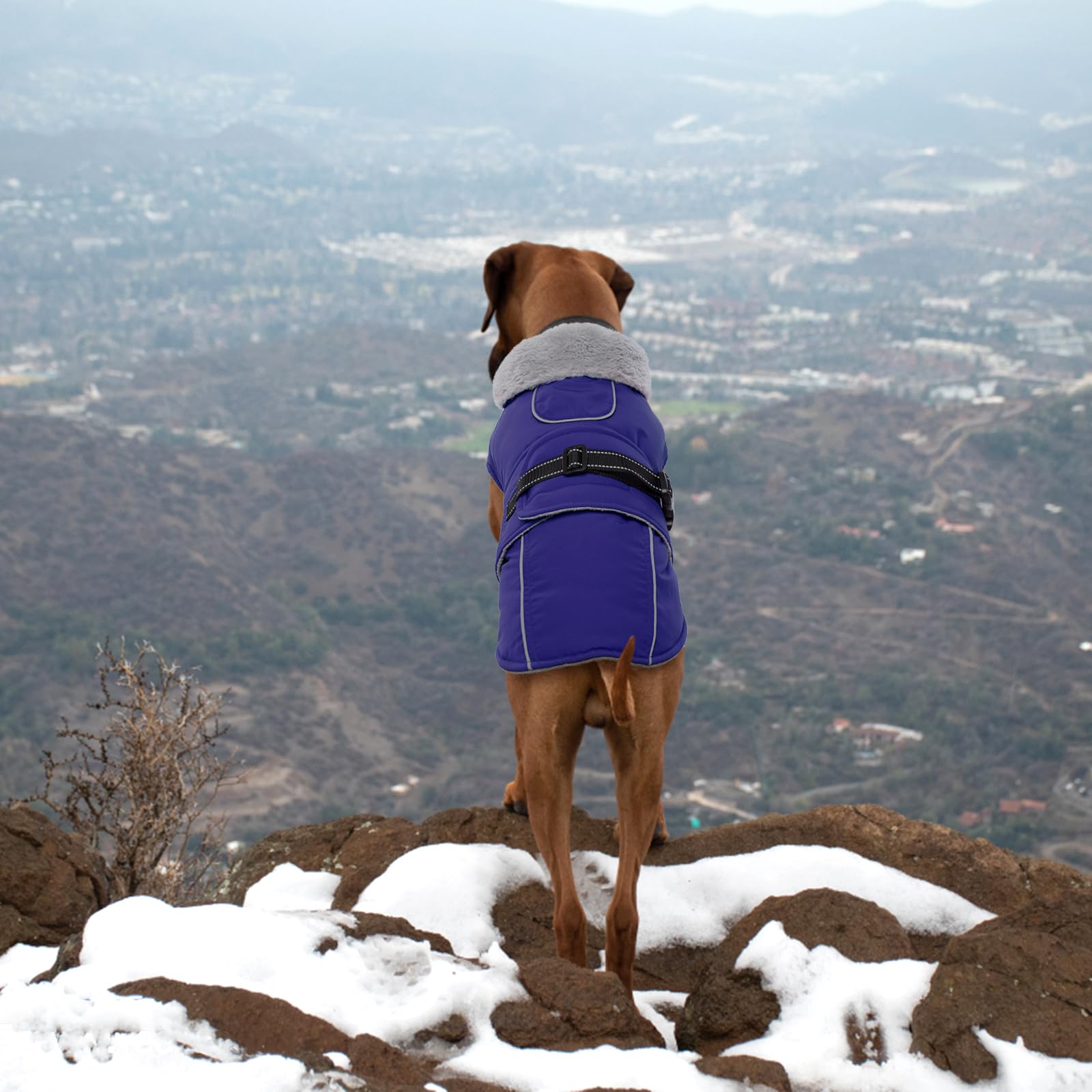 View 7