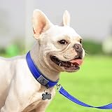 Joytale Reflective Small Dog Collar Navy Neoprene Padding Heavy Buckle view 3