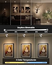 EZVALO Spot Lights Indoor,5500mAh Rechargeable