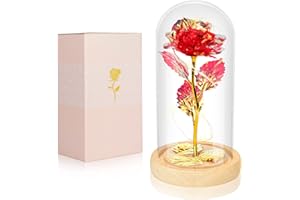 Beferr Valentines Day Gifts for Her Women Gifts Galaxy Rose Glass Flower Gift in Glass Dome Valentines Roses Ideas Birthday Gifts for Mom Wife Sister Girlfriend Red
