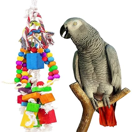 african grey toys