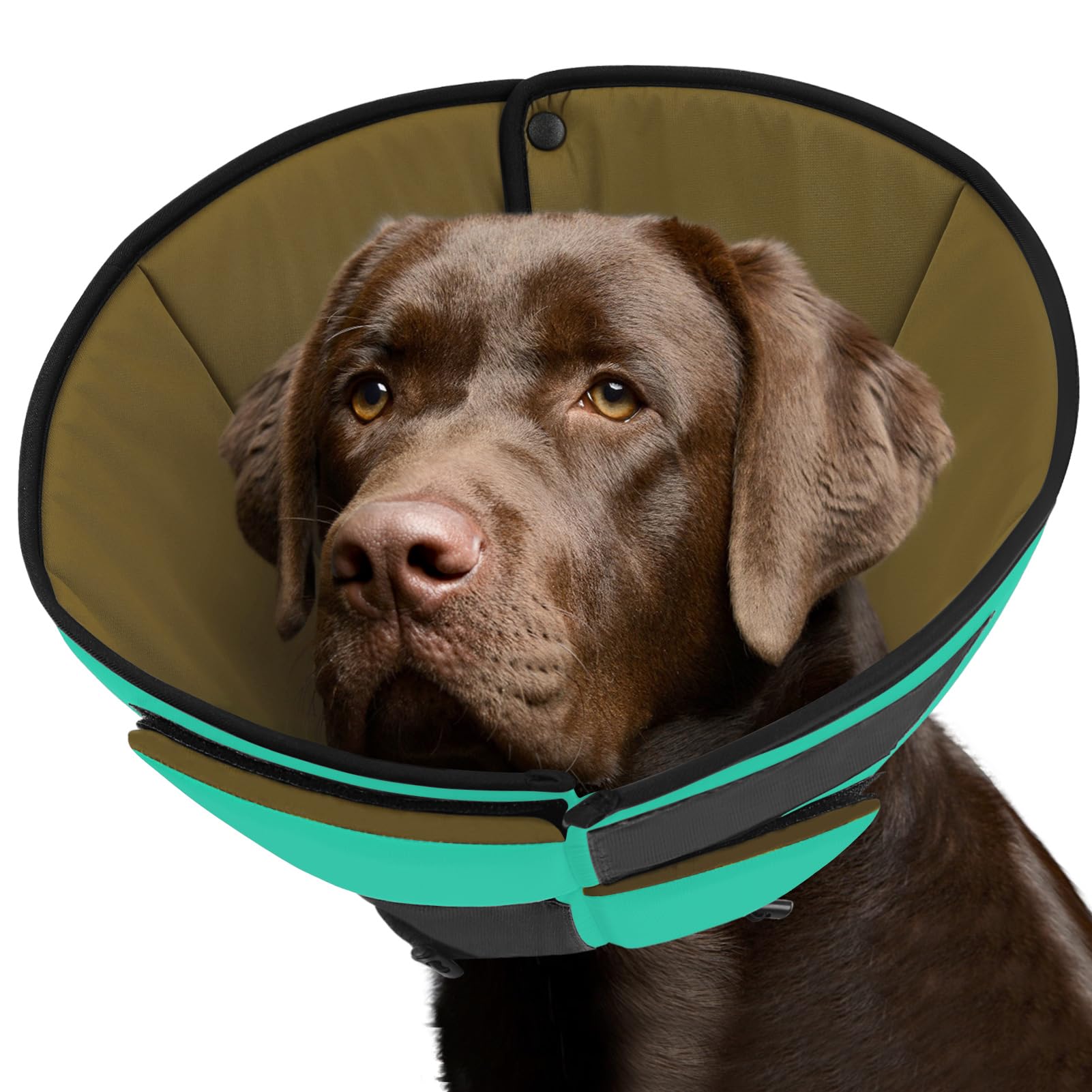 Photo 1 of Queenmore Dog Cone, Soft Dog Cone for Large Dogs, Dog Cone Collar After Surgery for Neutering, Breathable Pet Cone, Adjustable E-Collar Alternative to Stop Licking, Green XL