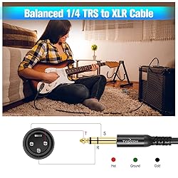 Twozoh XLR Male to 1/4 Inch Jack TRS Cable 30FT 2