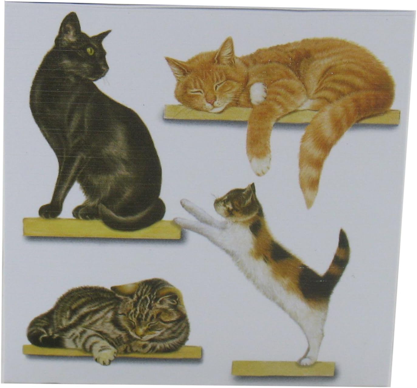 Cats on Shelves Padblock