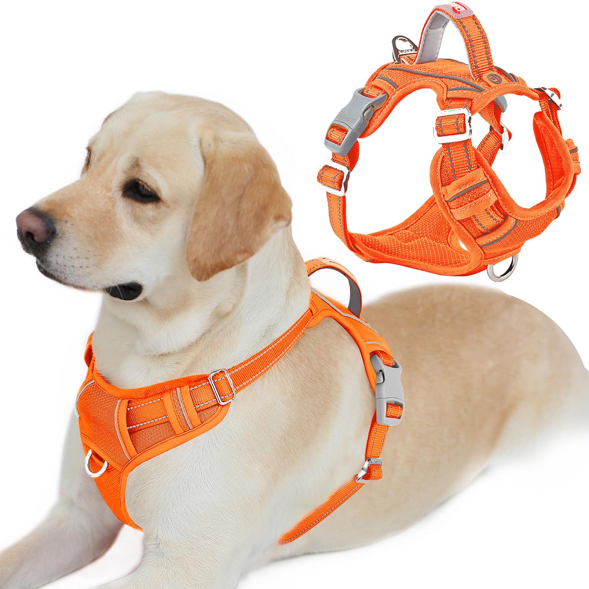 BARKBAY No Pull Dog Harness Front Clip Heavy Duty Reflective Easy Control Handle for Large Dog Walking with ID tag Pocket(Orange,L)