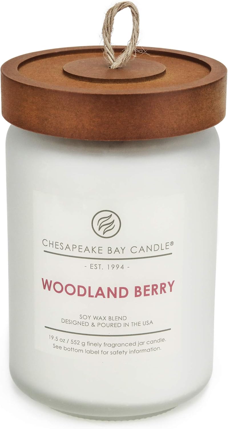 Chesapeake Bay Candle Scented Candle, Cinnamon Spice, Large Jar: Home & Kitchen
