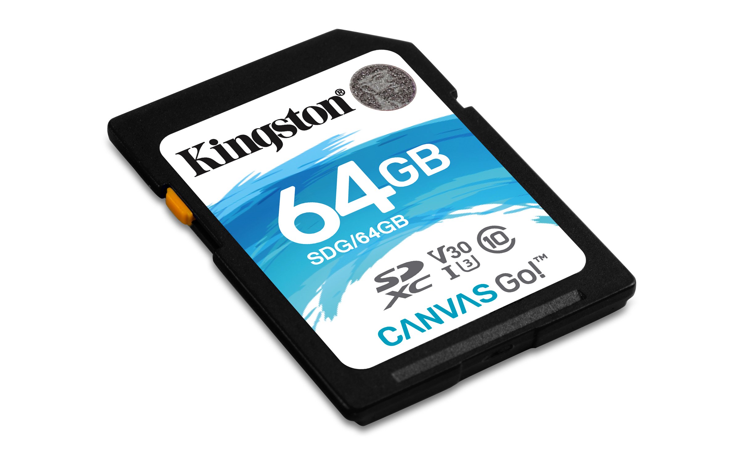Kingston SDG/64GB SD Canvas Go, Ideal for DSLRs Drones and Other SD-Card Compatible Action Cameras, Black