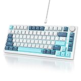 Owpkeenthy 75 Percent Mechanical Keyboard, 82 Key