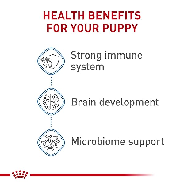 ROYAL CANIN SIZE HEALTH NUTRITION X-SMALL PUPPY DRY DOG FOOD, 3 LB BAG